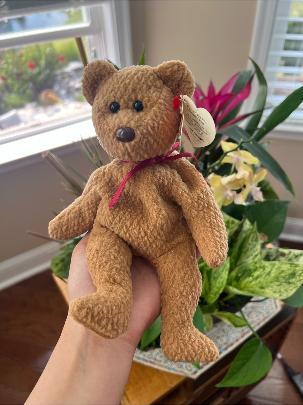 TY CURLY Plush Light Brown Teddy Bear with Burgundy Ribbon REAL OFFICIAL